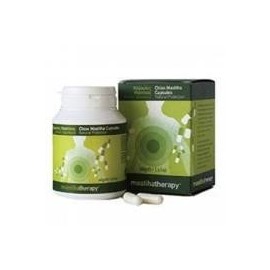 PHARMAQ MASTIHA THERAPY CAPSULES CHIOS MASTIC 40g