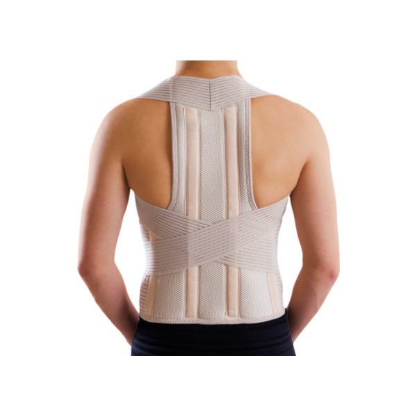 "Taylor" Torso Narthex 0137