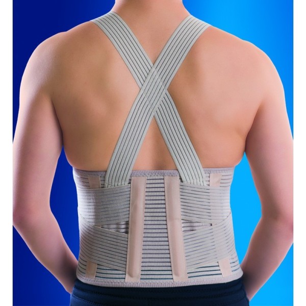 Industrial Back Support 0172