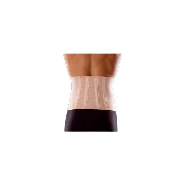 ΖΩΝΗ ΟΣΦΥΟΣ 22cm Ελαστική 0152