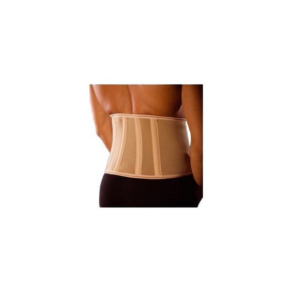 Back Belt with 4 Underwires 0043