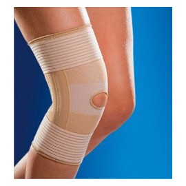 Knee Support - 4 Spiral Plates & Straps 1505