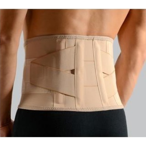 Anatomic Line Multiple Disease Loss Belt 5154