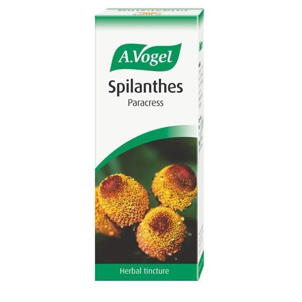 A.VOGEL SPILANTHES OLER 50ml