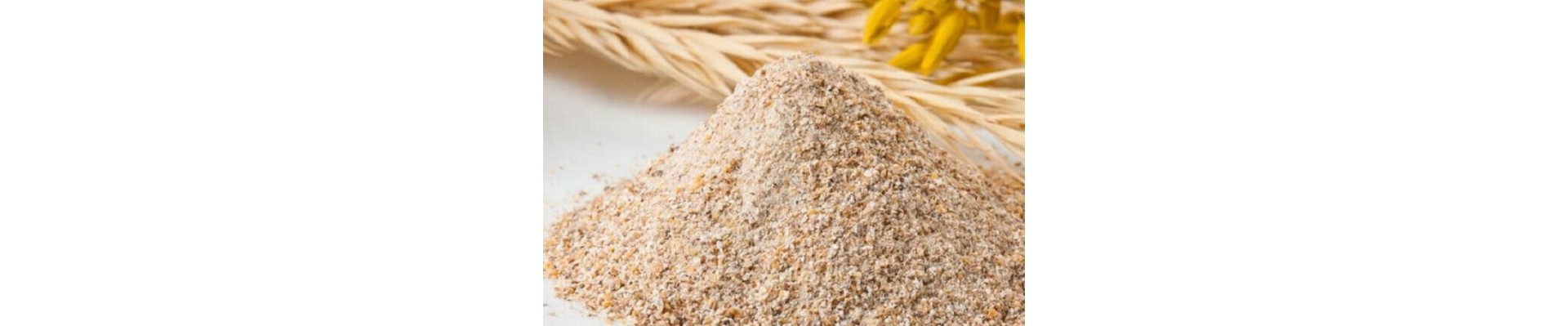 Brewer's Yeast